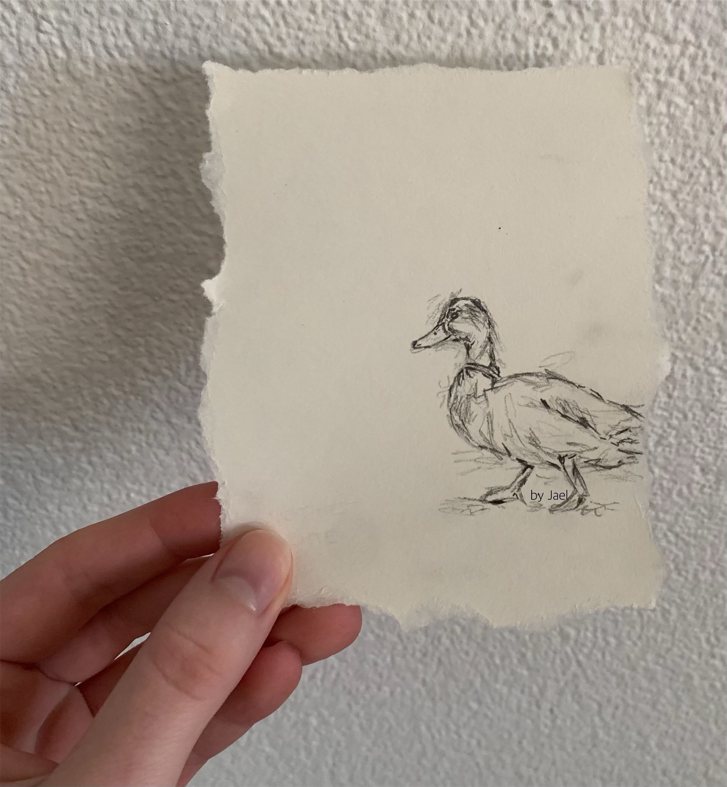 kleine Ente